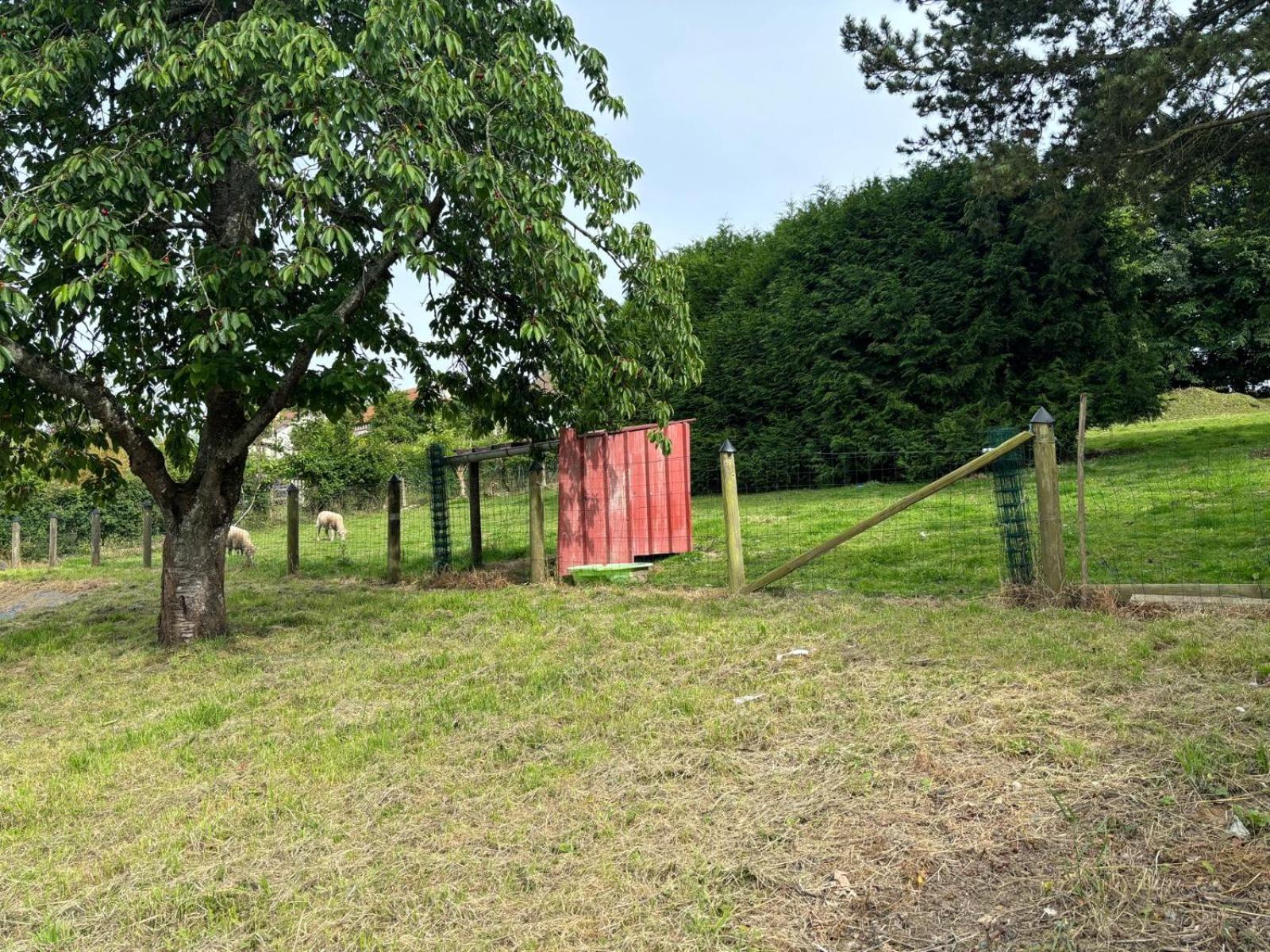 Maison A La Campagne Pour 7 Pers, Wifi Et Parking Aube  Extérieur photo
